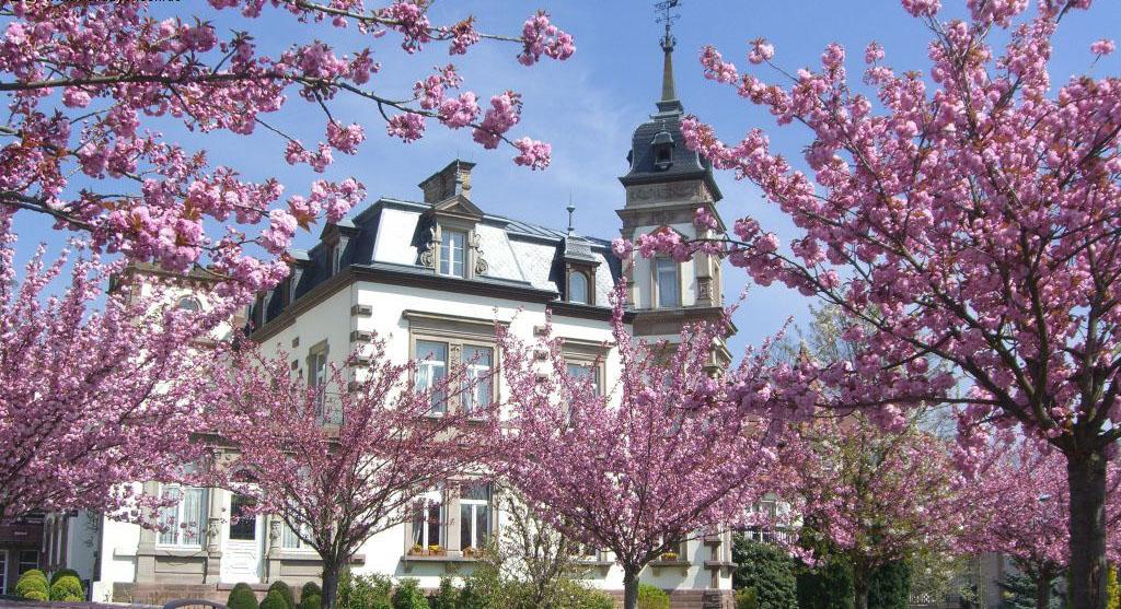 Hôtel&spa Château De L'ile