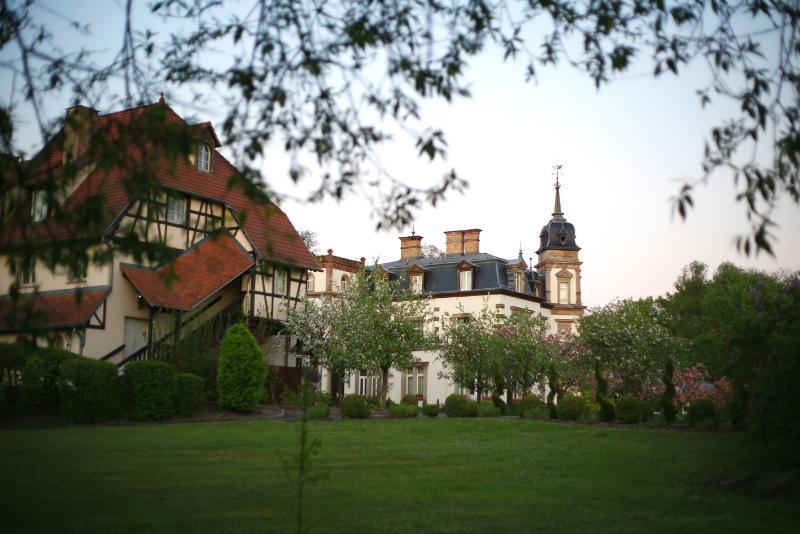 Hôtel&spa Château De L'ile Hotel